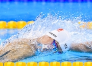 中国熊猫体育-F1新赛季揭幕战与NBA战术博弈，速度与智慧的双重奏