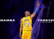 熊猫体育平台-跨界统治力，从篮网压制雄鹿到文班亚马英超争冠的赛场哲学