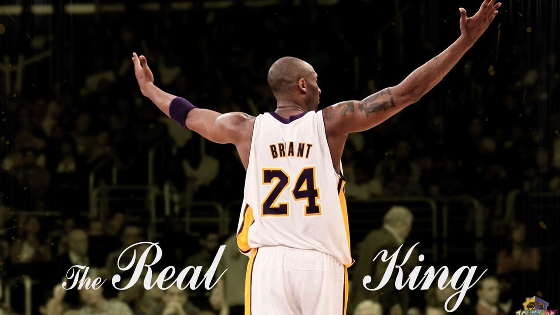 当格子军团遇见非洲心跳，卡马文加在萨格勒布的月光下完成蜕变